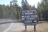 Explore Roadside Nature - Yellowstone NP Old Faithful area